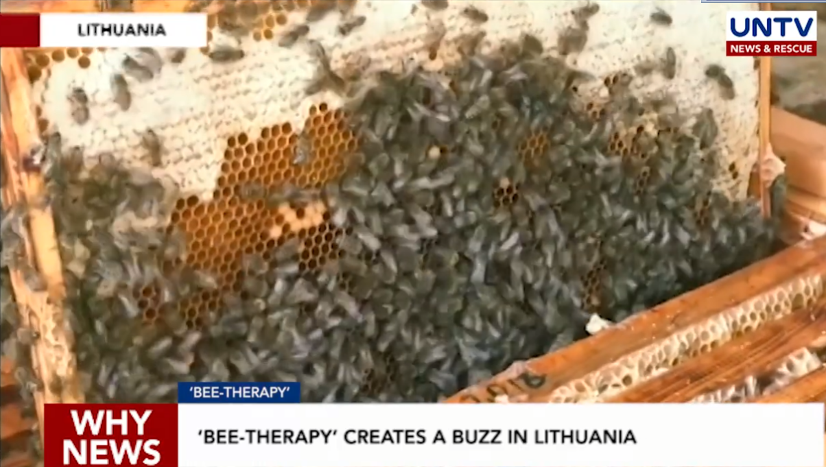 ‘BEE-THERAPY’ CREATES A BUZZ İN LİTHUANİA